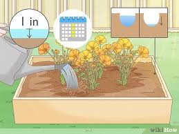 Flowers To Plant In A Raised Garden Bed