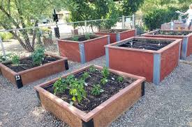 Community Raised Garden Beds Durable