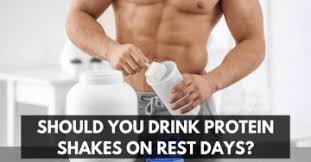 supplements the workout digest