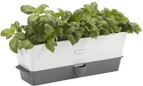 If you're looking for a versatile herb planter for your kitchen windowsill, this option will provide a gorgeous home for fresh best for repurposing herbs. Cole Mason 3 Fach Krautertopf Mit Selbstbewasserung White Triple Amazon De Garten