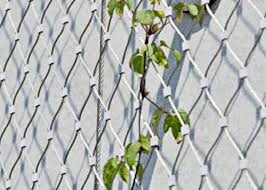 Yt Stainless Steel Garden Fence