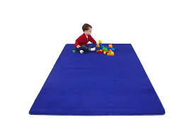 blue large rectangular clroom rug by