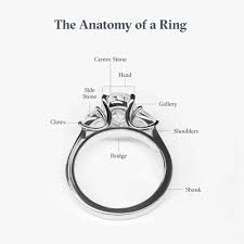 the anatomy of a ring technical