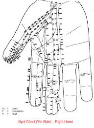 Sujok Acupressure