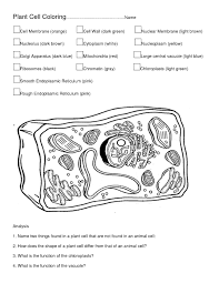 Hopefully fill the posts artikel animal and plant cell coloring worksheet answers key, we write this you can understand.alright, happy reading. Pin On Coloring Pages
