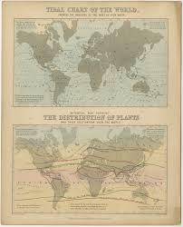 Tidal Chart And Botanical Map Reynolds 1843