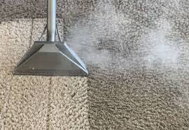 carpet cleaning wombourne no1 carpet