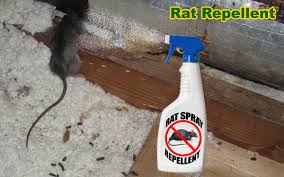 rat repellent natural home remedy