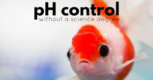 Natural Ph Control In A Freshwater Aquarium Practical