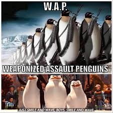 weaponized auli penguins i jusf