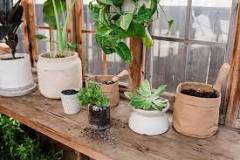 do-outdoor-pots-need-drainage-holes
