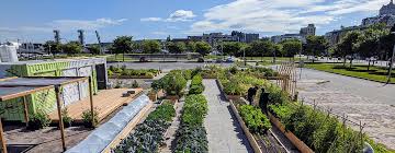 Urban Agriculture In Quebec With Les