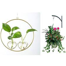 Hanging Glass Planter For Indoor Plants