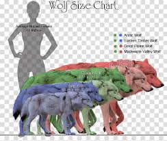 Coyote Dog Dire Wolf Northwestern Wolf Canidae Size Chart