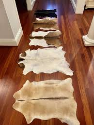 cowhide rugs small xl university