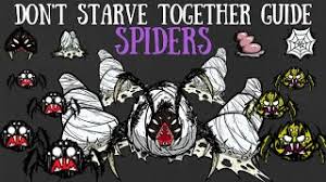 don t starve together guide spiders