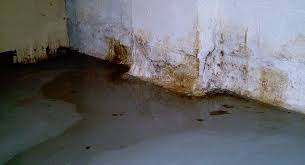 Why Do We Require Basement Waterproofing
