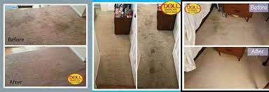 doll bros carpet dry cleaning