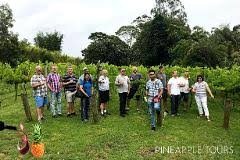 pineapple tours winery 2024