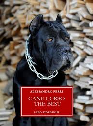 The cane corso is an italian breed with a lengthy history. Cane Corso The Best Ebook By Alessandro Ferri 9788894262018 Rakuten Kobo Greece