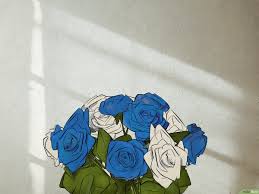 what do blue roses mean history