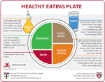 Harvard food plate