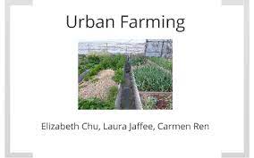 Urban Farming Presentation By Carmen Ren