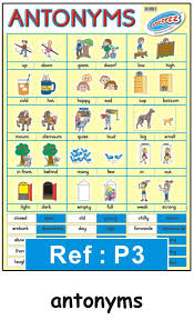 Educational Posters And Wall Charts For The Classroom