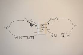 pigs behind electrical outlets