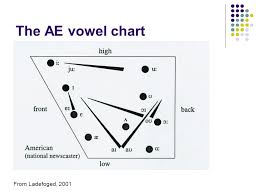 Vowel Articulation In English Ling110 Fall Quarter Ppt Download