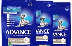 You should, therefore, feed your great dane large breed puppy food until she reaches this age. 74 Megaesophagus Cases Linked To Australian Dry Dog Food Petfoodindustry Com