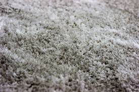 can spilling water on carpet cause mold