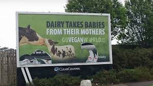 'milk is not good for you,' glover said. Go Vegan Billboard Draws Ire And Ink From Traditional Food Producer Farming Independent