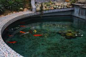 Charming Minimalist Fish Pond Design