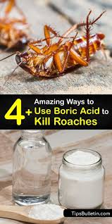 boric acid for roaches killing