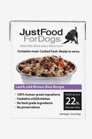 11 best dog foods 2024 the strategist