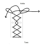 Diagram Of Foot Podiatry Get Free Wiring Diagrams