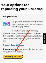 ordering a new sim with same number
