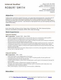 internal auditor resume samples