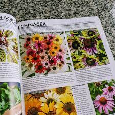 best free seed catalogs plus bulbs and
