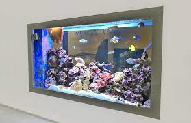 in wall fish tank uk specialist