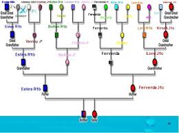 The Dna Pedigree Chart Mining For Ancestors Dnaexplained
