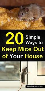 Do homemade mouse repellents work? 18 Diy Mice Repellent Ideas Mice Repellent Getting Rid Of Mice Diy Mice Repellent