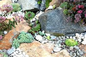 Create A Succulent Seascape Rock Garden