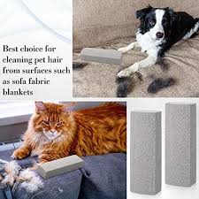 pet hair remover pumice stone