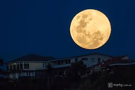 Full Moon Tonight Aaaaarrroooooooooooooooooooo!! Images?q=tbn:ANd9GcTINZY7XZc8OiQCFeevW3azeIc-eNK_rq1jQ778nOC_MklB9Bya0Q
