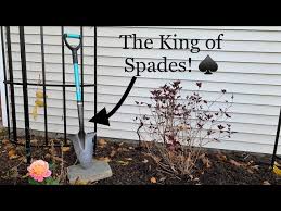 The Spear Head Spade Best Shovel For