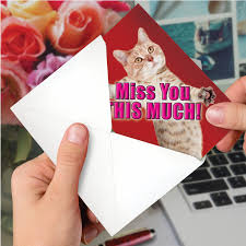 funny miss you greeting card
