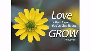 Check spelling or type a new query. 50 Flower Quotes Lovequotesmessages