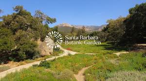 visit the santa barbara botanic garden